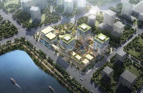 好消息 白云湖數(shù)字科技城將新建3條市政道路,首個產(chǎn)業(yè)項目展廳亮相